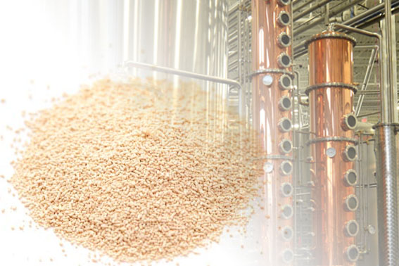 High Purity Turbo Yeast