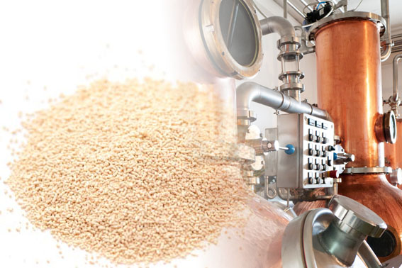 Fruit Turbo Yeast