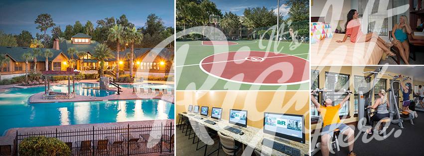 Apartments rental services