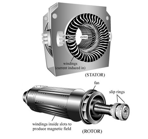 motor body and rotor