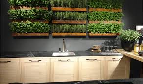 MANDY GARDENING SOLUTIONS