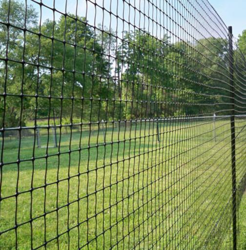 Fencing at may tinik wire, estukada net, metal