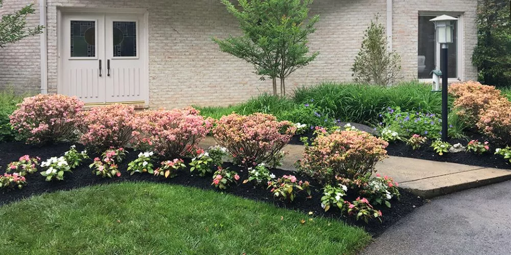 Landscaping