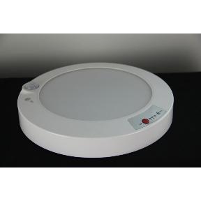 Emergency ceiling light