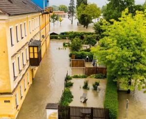 DACULA WATER REMOVAL EXPERTS