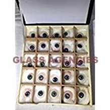 Artificial Brown  Eye Prosethetic 