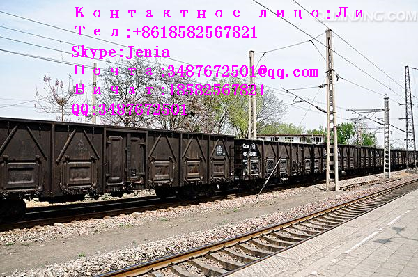 Меѓународно пренесување