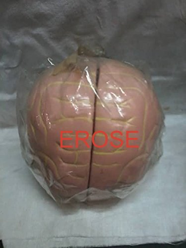 의료 장비 및 장치