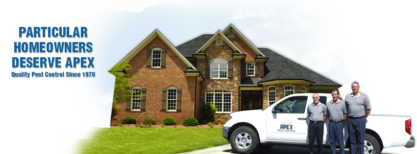 Pest and vermin control services