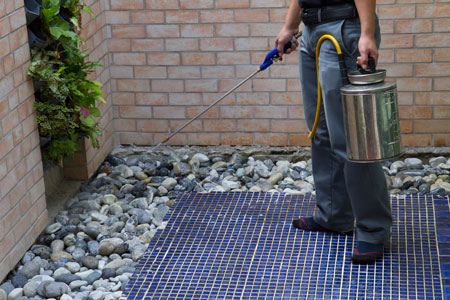 We aim to set a new benchmark in the Home Services Industry by offering a thorough, professional and honest service to customers.