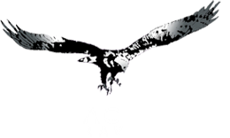 Luxury Travel Specialist
