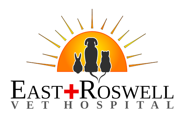 Veterinarian