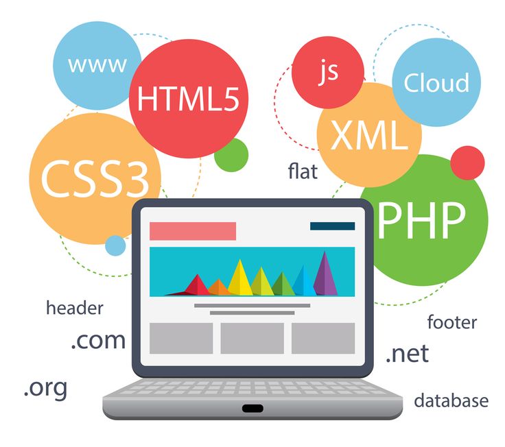 Website Design And Software Development Services.