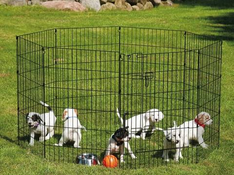 Animal Cages & Traps