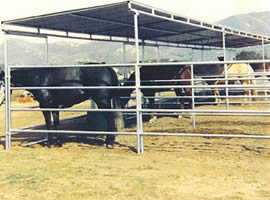 Horse Panel Shelters