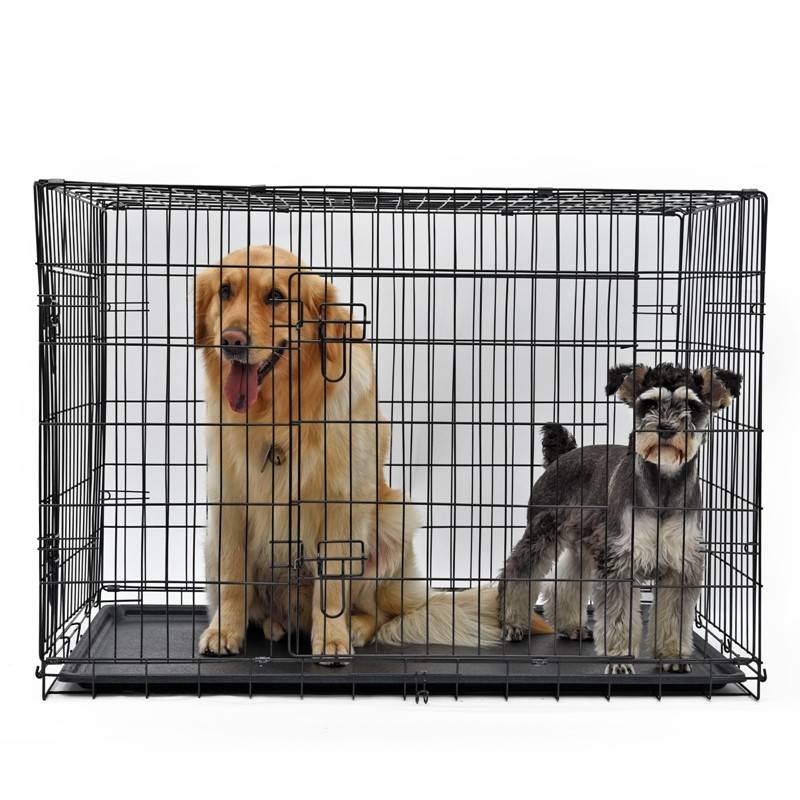Wire Dog Crates