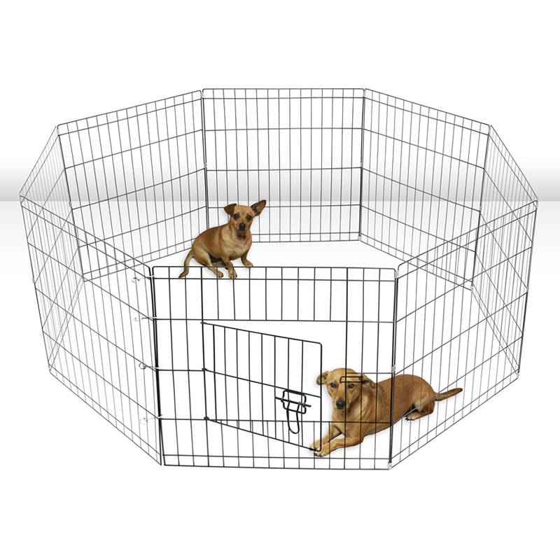Standard Exercise pens