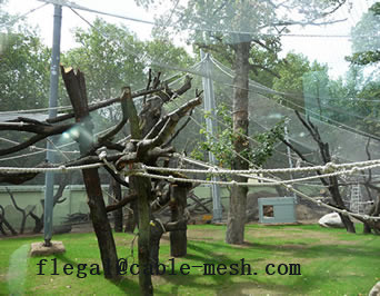 Aviary Netting