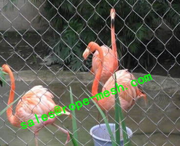 Aviary Mesh