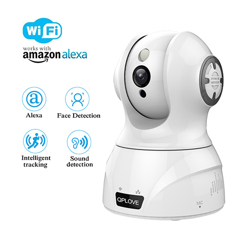 Wireless IP Camera