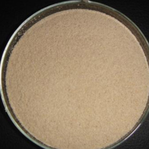 application of enzymes in the pulp and paper industry