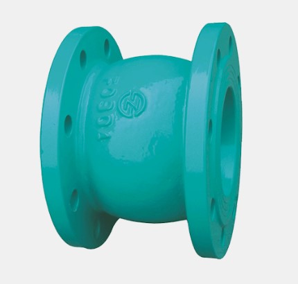 Check Valve