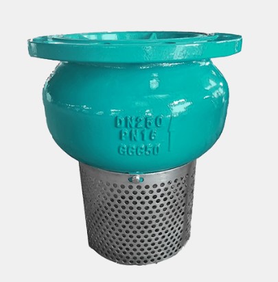 Foot Valve