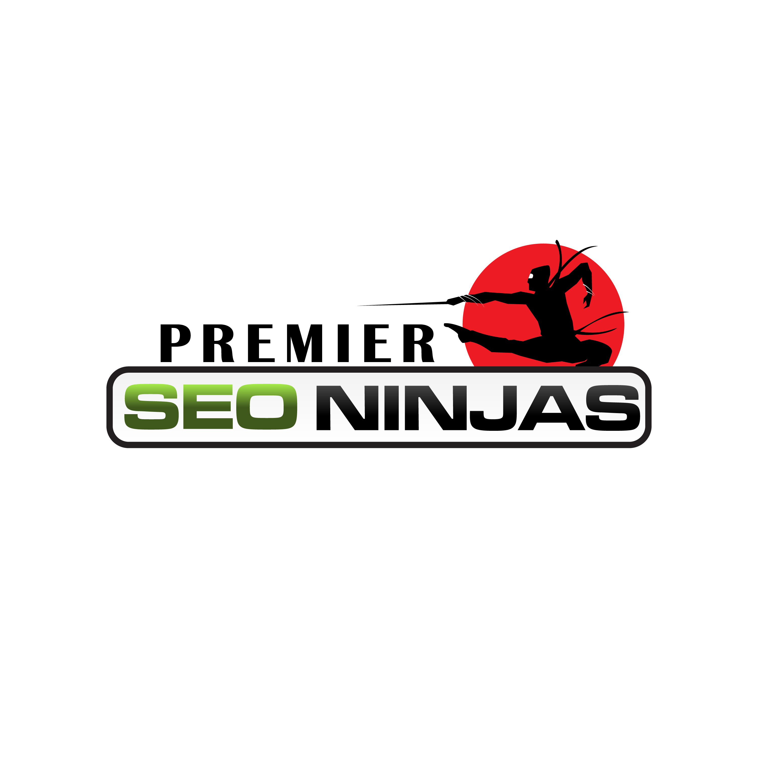 SEO Services (Local, National, International)