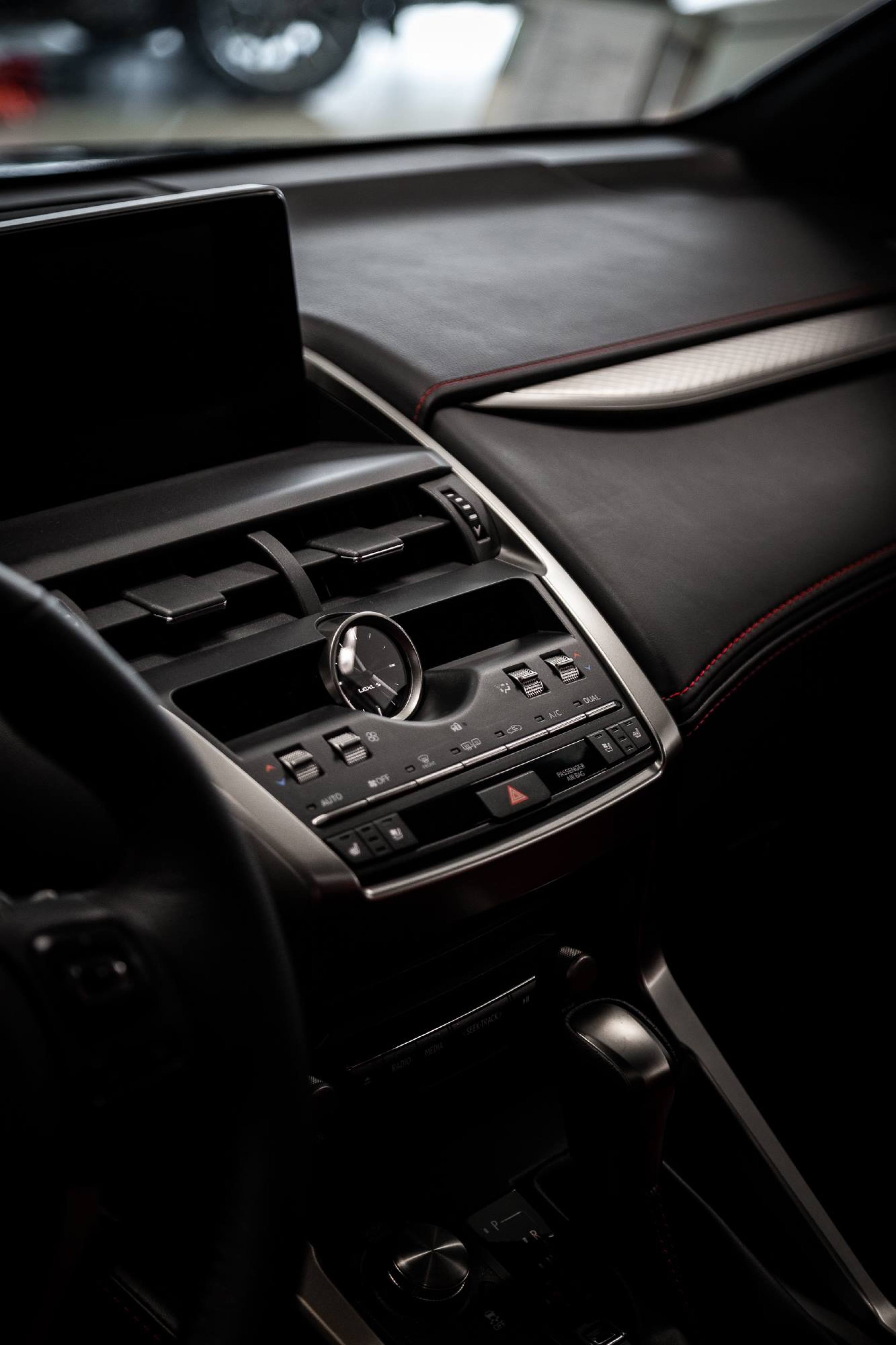 Lexus NX (2)