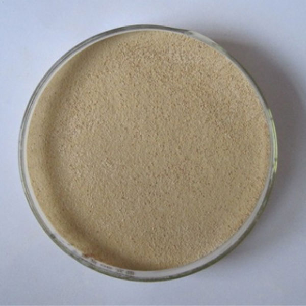 Cleaner Enzyme