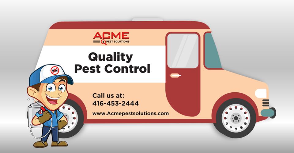 Pest Control, shërbimet
