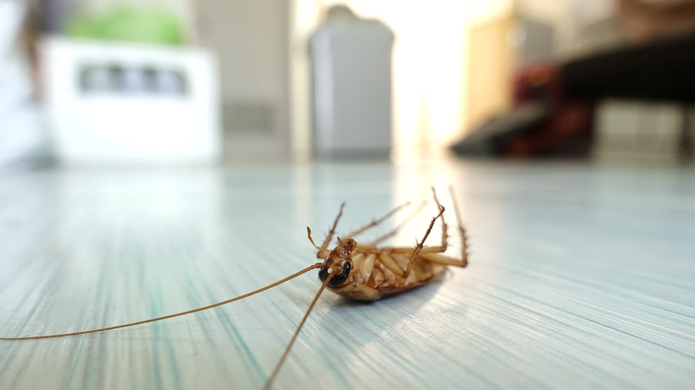 農藥