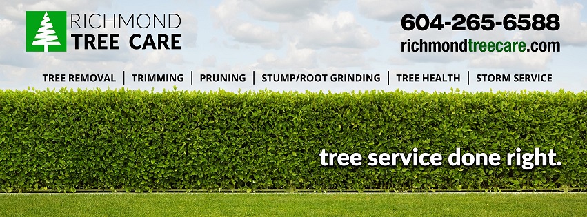 Tree-maintenance serbisyo