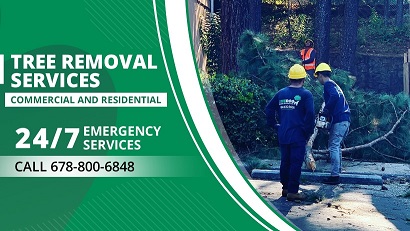 Tree pruning at umiwas sa tanong pinaggupitan