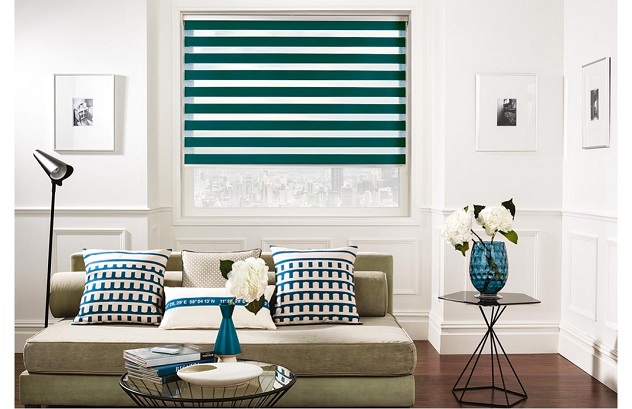 Window Blind