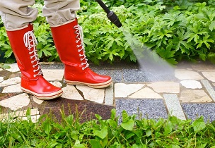 EPM PEST CONTROL SERVICES