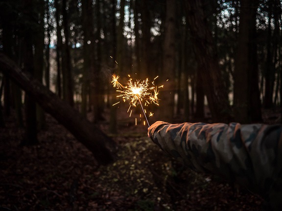 CRYSTAL TREE SERVICE AND REMOVAL