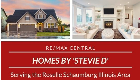 REAL ESTATE AGENT STEVIE D