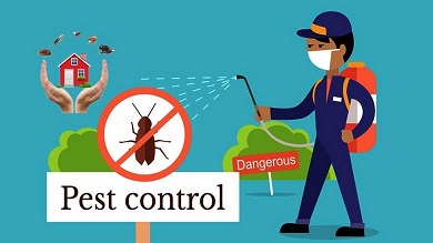 Residential Exterminators Ant, Bed Bug, Roach And Termite Treatment Seminole 