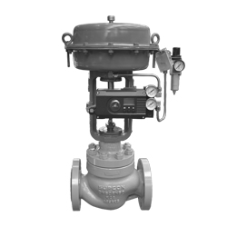 LN81 Series Single Seat Globe Control Valve