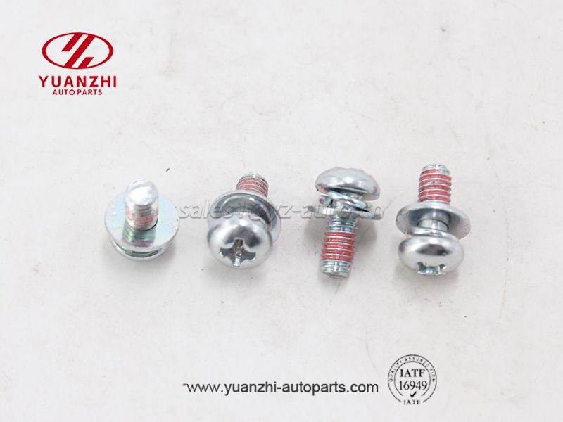 Cross Recessed Pan Head Screws, Plain and Spring Washers Assemblies Supplier