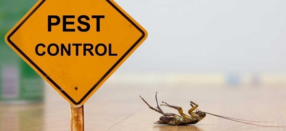 BULLSEYE PEST CONTROL