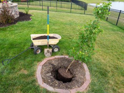 MJ & J LANDSCAPING