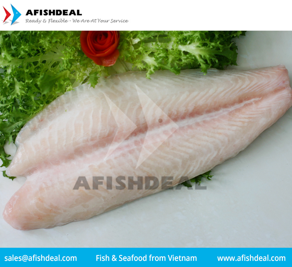 Pangasius filetima