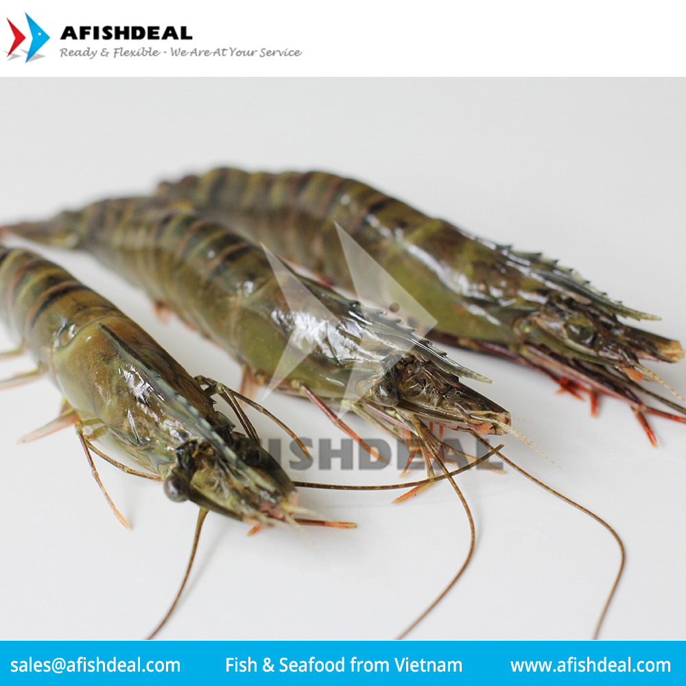 กุ้ง