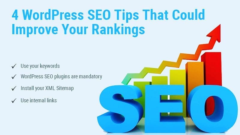 Servizzi seo