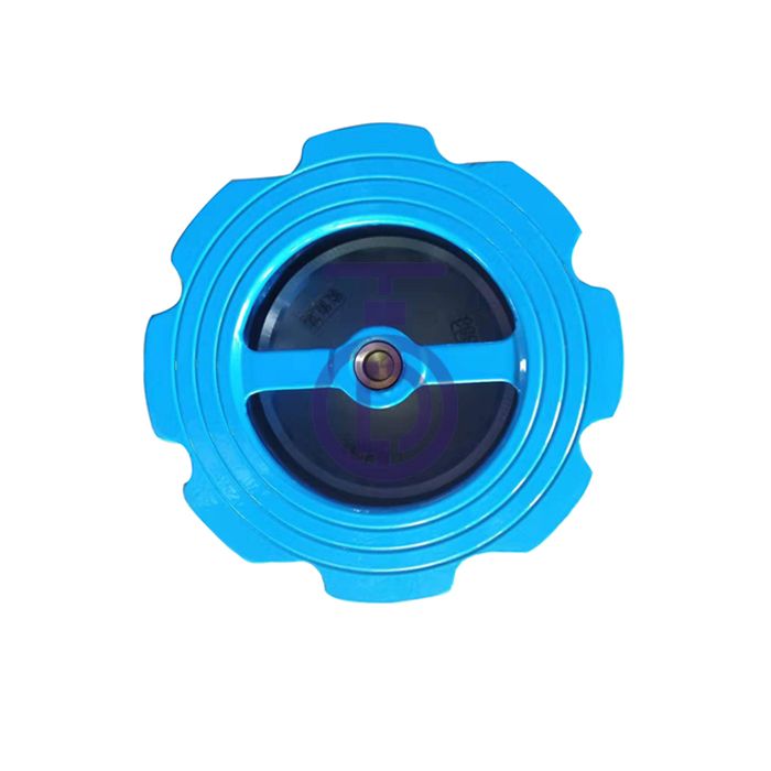 Silent Check Valve