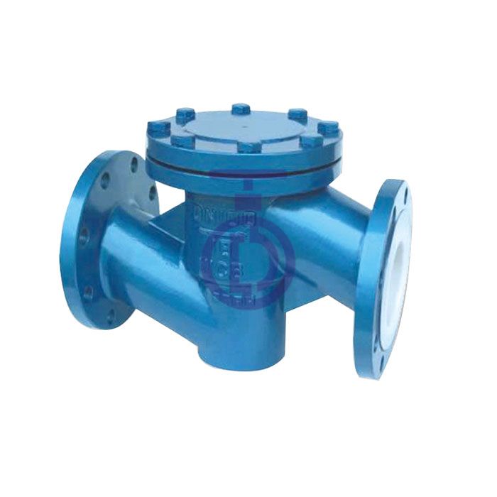Swing Check Valve Outside Lever and Weight or Spring