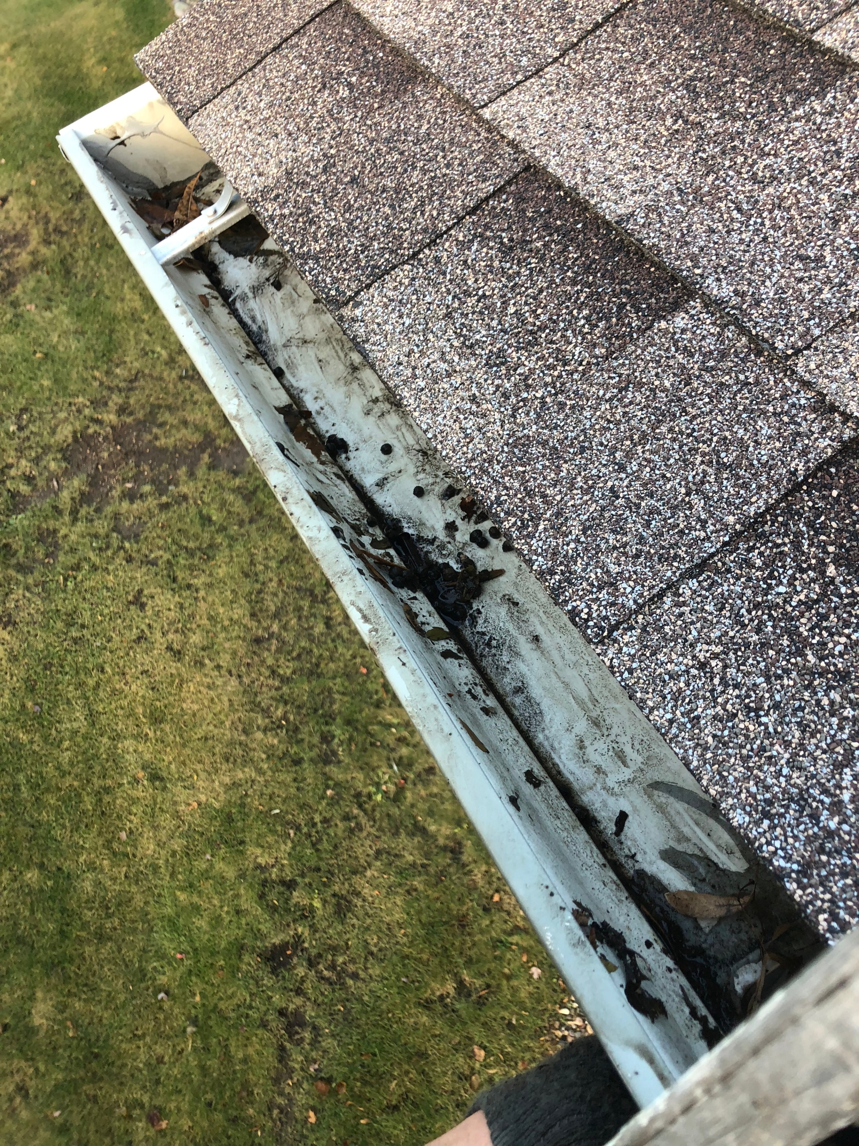 Iş Guttering