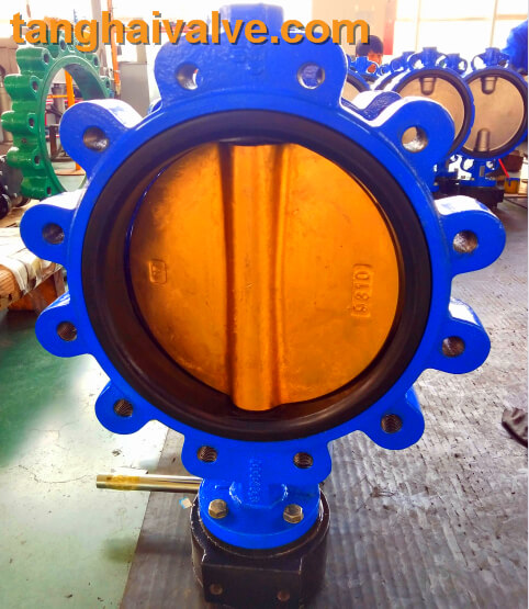 Lug type butterfly valve